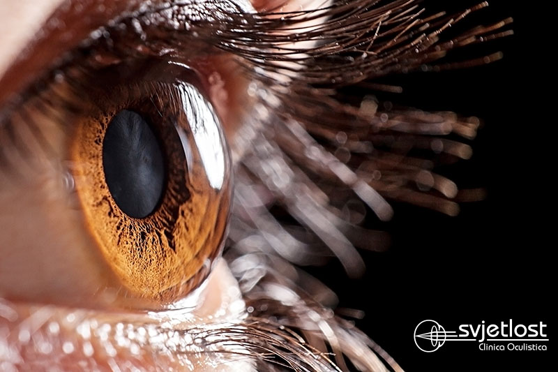 Eyesight restored after 16 years: the first transplant of stem cells of the cornea performed